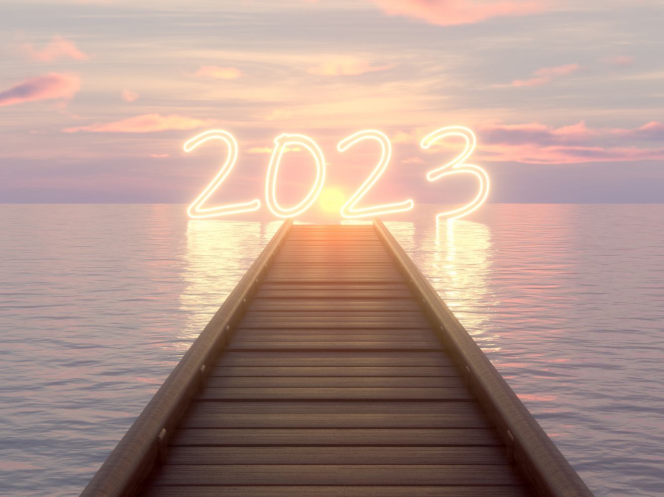 2023 See