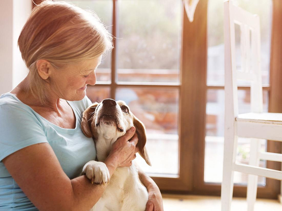 Ältere Tiere – Darauf sollten Sie bei Ihren Haustieren achten Ältere Tiere – Darauf sollten Sie bei Ihren Haustieren achten
