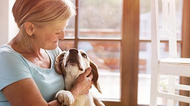 Ältere Tiere – Darauf sollten Sie bei Ihren Haustieren achten  - Foto: iStock // Halfpoint