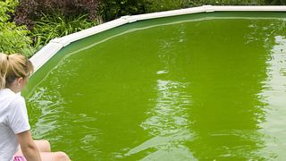Wie Sie Algen in Ihrem Pool richtig entfernen. - Foto: Alyssum / iStock