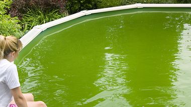 Wie Sie Algen in Ihrem Pool richtig entfernen. - Foto: Alyssum / iStock
