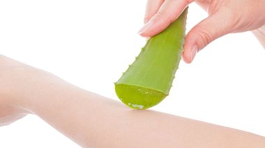 Aloe vera als Heilmittel gegen Wunden & Co.  - Foto: eskymaks / iStock