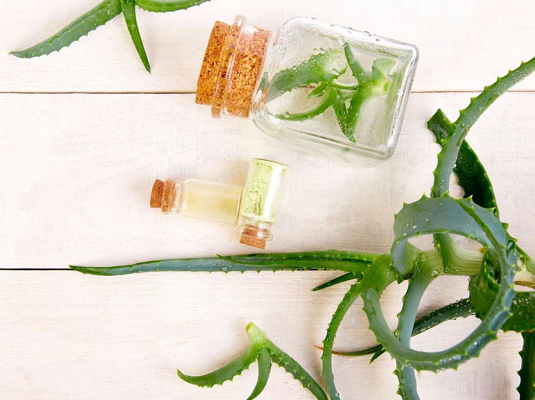 Die Superpflanze: Aloe Vera Saft hilft gereizter Haut dabei, sich zu entspannen Was Aloe Vera Saft wirklich kann