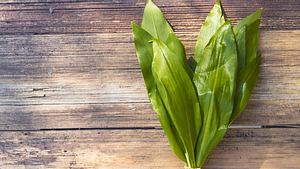 Bärlauch ist sehr gesund. - Foto: helovi / iStock