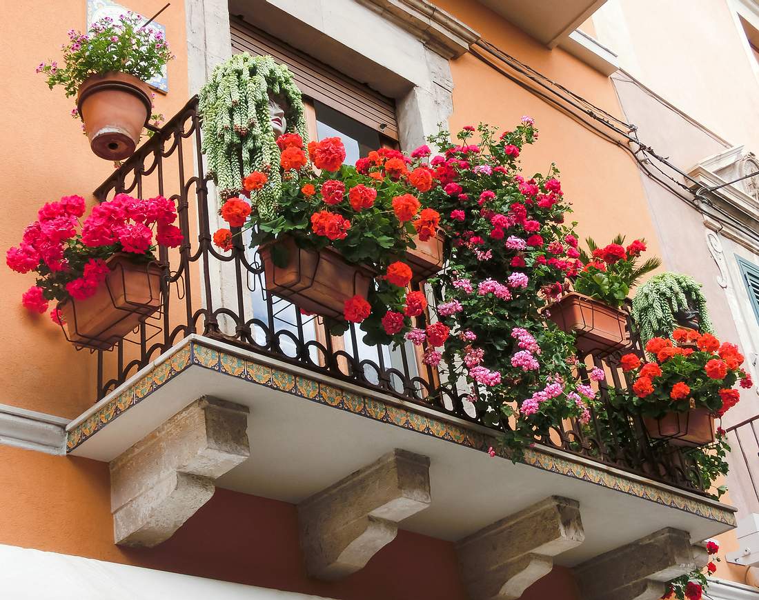 Balkon Blumen hängend an einem Balkon
