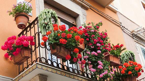 Balkon Blumen hängend an einem Balkon - Foto: iStock/Marina113 