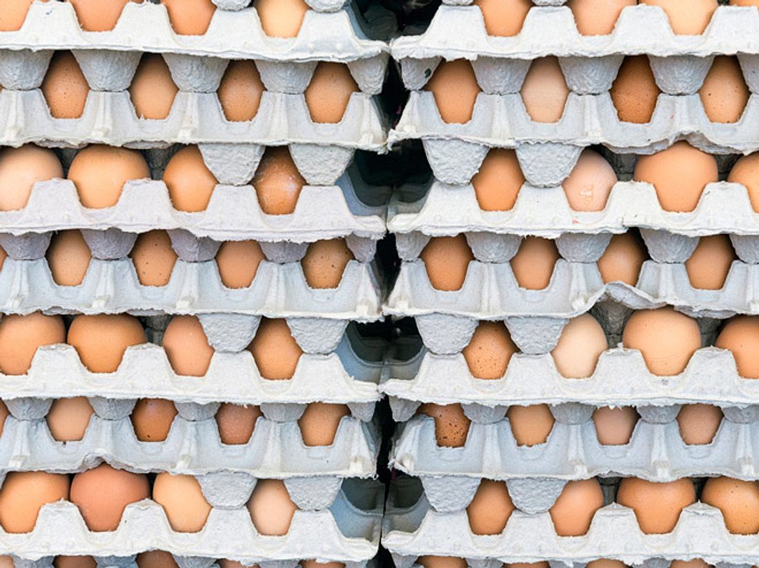 Belastete Eier: Was bedeutet das für mich?