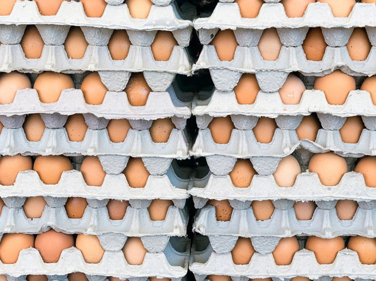 Belastete Eier: Was bedeutet das für mich?