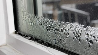 Eine mit Kondenswasser benetzte Fensterscheibe. - Foto: Akchamczuk / iStock
