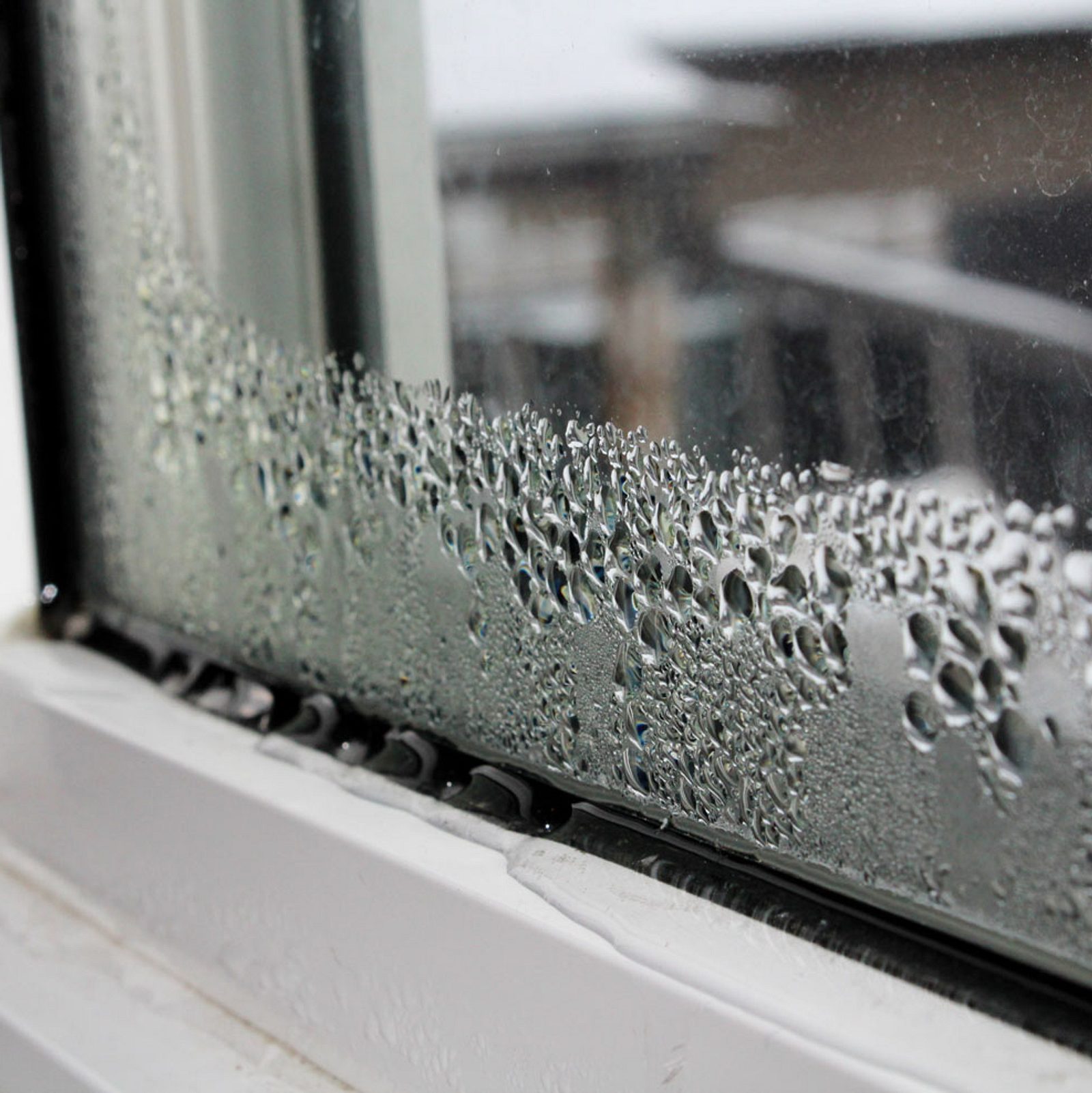 Beschlagene Fenster: Was gegen Kondenswasser an Scheiben hilft