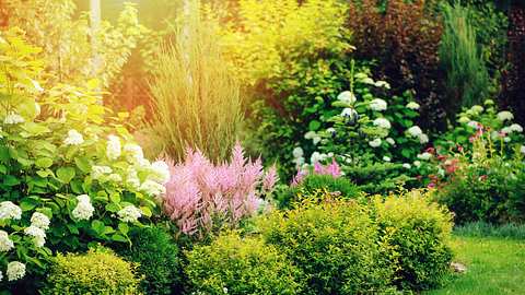 Garten mit Bio-Dünger gedüngt - Foto: iStock/Mkovalevskaya