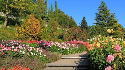 Mainau: So schön ist die Bodensee-Insel im Herbst - Foto: BasieB / iStock