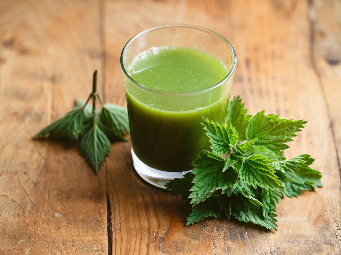 Der Brennnesselsaft ist äußerst nährstoffreich und kann in Kuren getrunken
werden. Brennnesselsaft