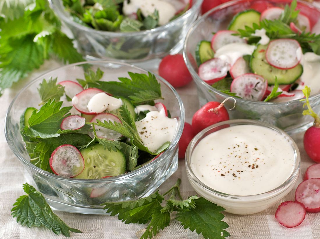 Ein ideales Sommerrezept. Brennnesselsalat