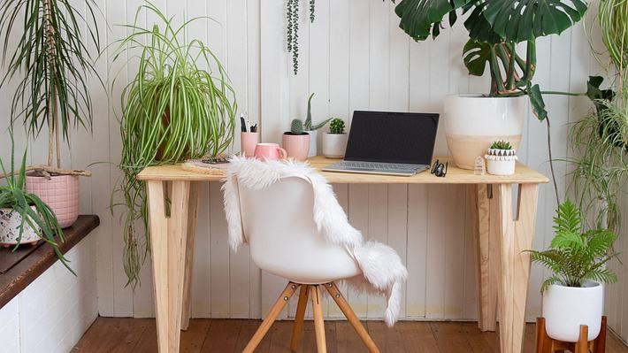 Büropflanzen bieten viele positive Vorteile - Foto: istock/Tanya Paton