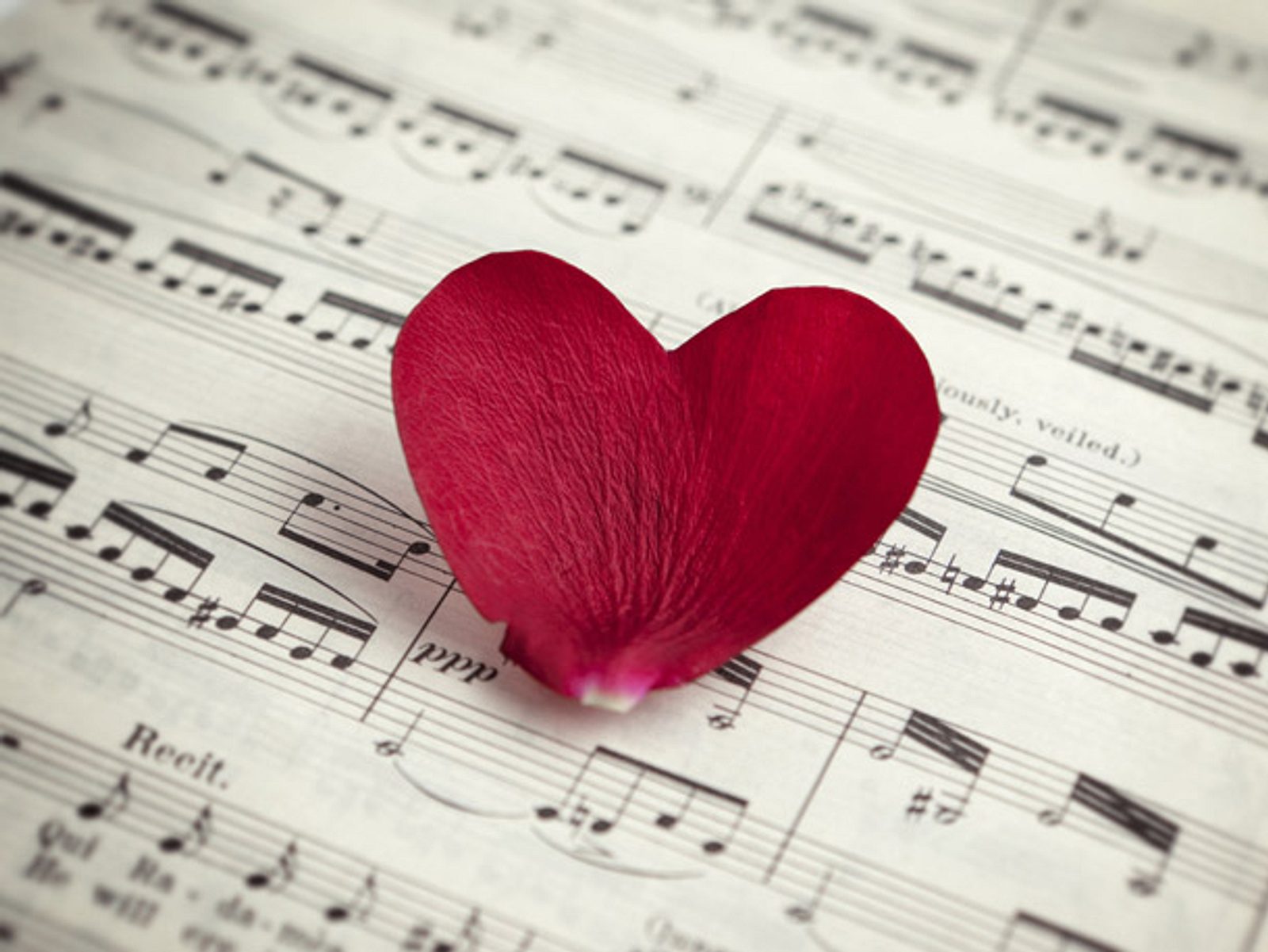 Песня про любовь на телефон. Музыка любви. Красивые картинки про любовь. Романтично и музыкально. Композиция "это любовь".