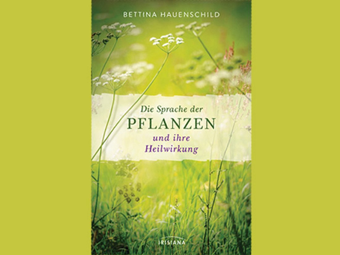 Bettina Hauenschild: Die Sprache der Pflanzen und ihre Heilwirkung