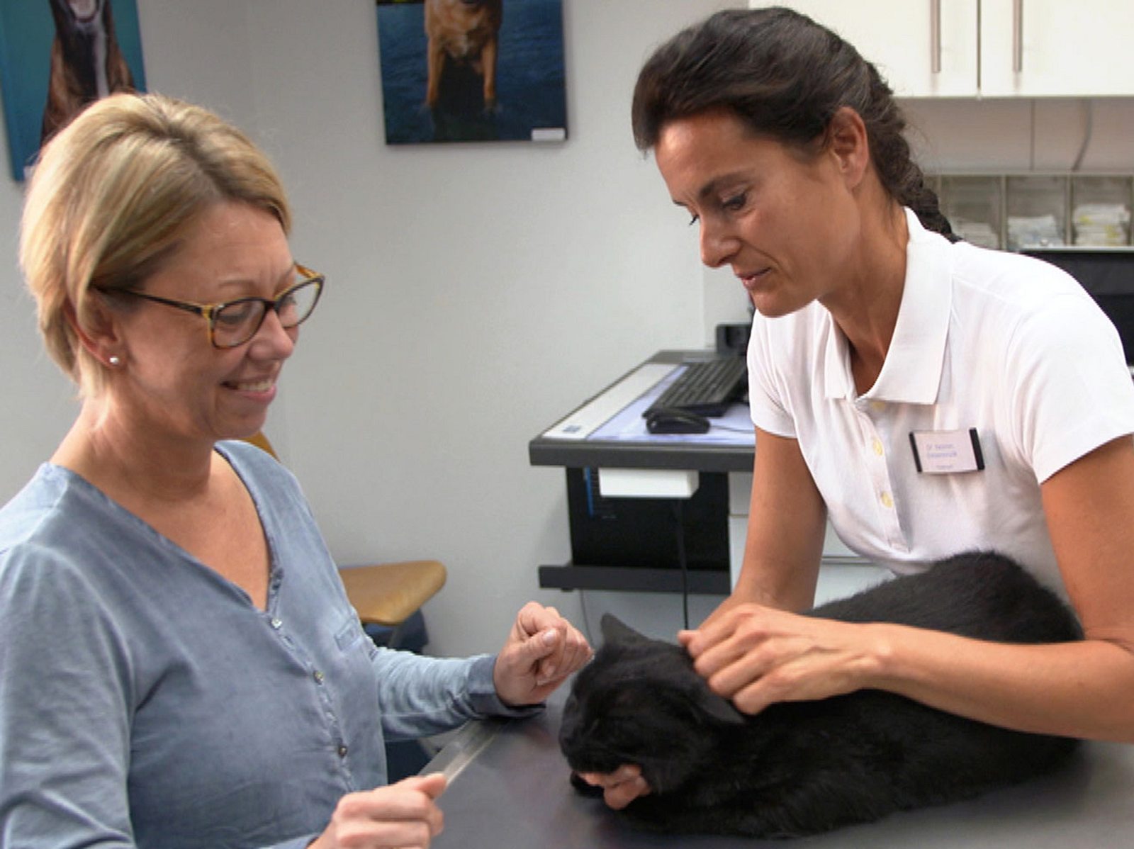 Die Tierärzte Retter mit Herz Emotionale Doku im Ersten