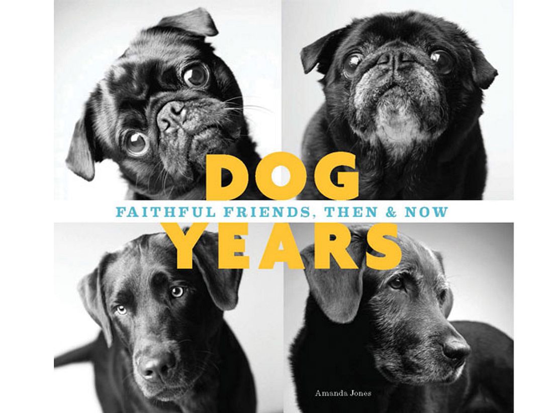 30 Hunde hat die Fotografin in ihrem Buch über 20 Jahre hinweg portraitiert. Dog Years: So sieht der Bildband aus