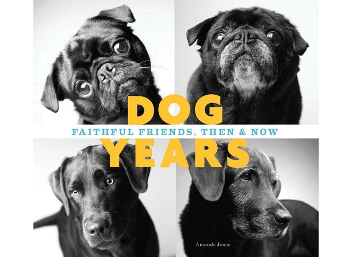 Dog Years: So sieht der Bildband aus