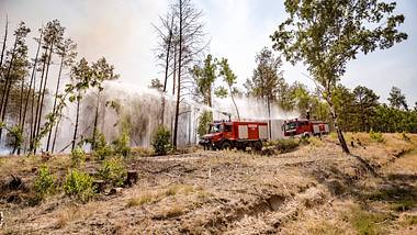 Folge von Dürrezeit in Deutschland: Waldbrände werden mehr - Foto: IMAGO / A. Friedrichs