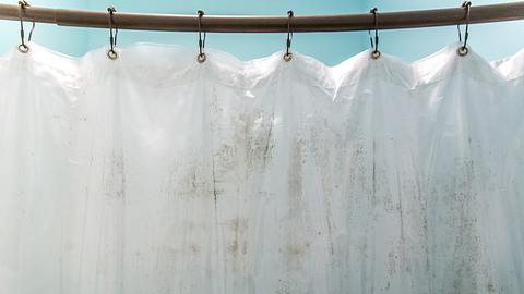 Auf einem weißen Duschvorhang haben sich Verfärbungen gebildet. - Foto: iStock / ucpage