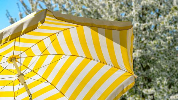 Ein sauberer Sonnenschirm - Foto: iStock/Peer_Marlow