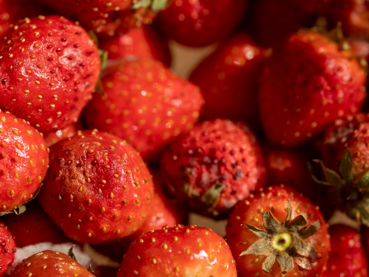 Erdbeeren frische erkennen