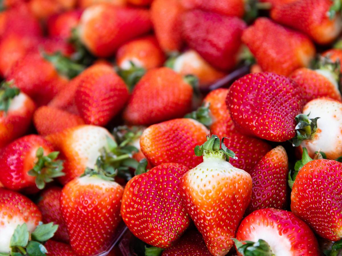 Erdbeeren frische erkennen