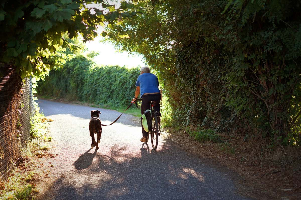 Fahrrad Hundeleine