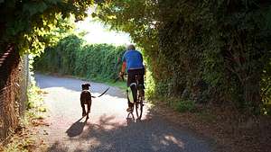 Fahrrad Hundeleine - Foto: istock/Piero Facci