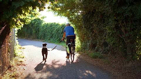 Fahrrad Hundeleine - Foto: istock/Piero Facci