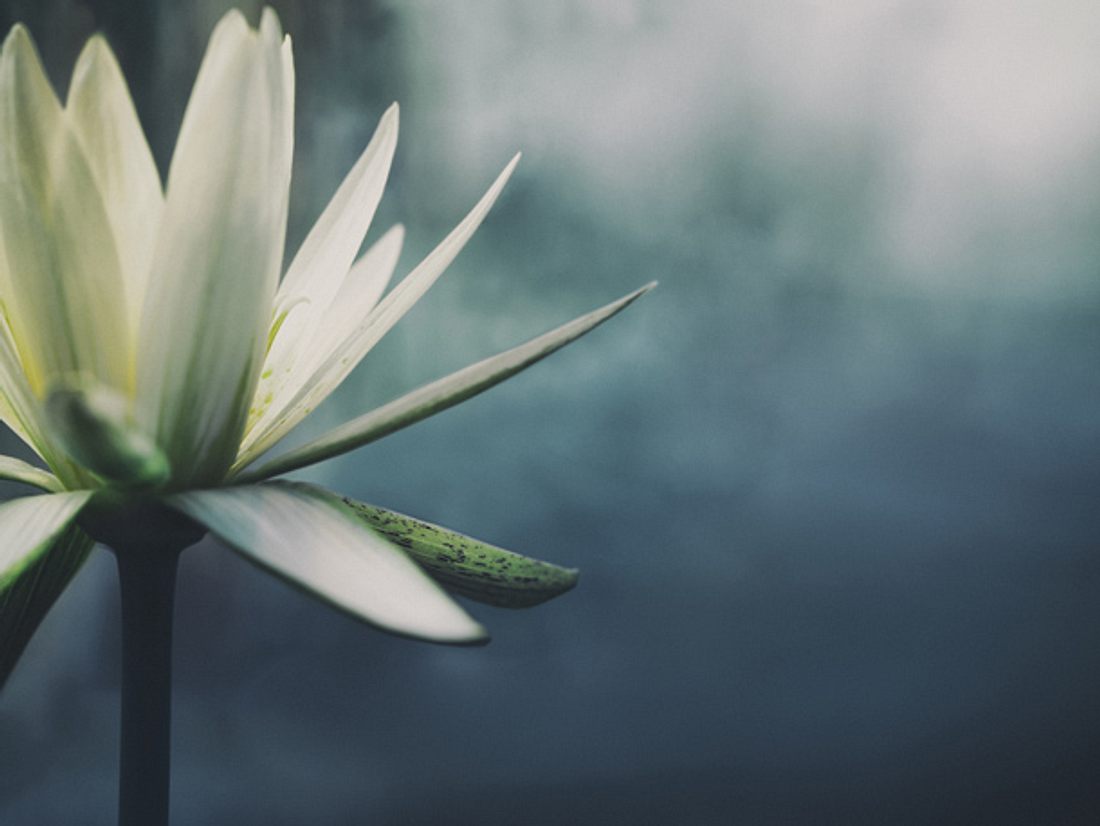 Meditation für Anfänger leicht erklärt. Meditation für Anfänger leicht erklärt.