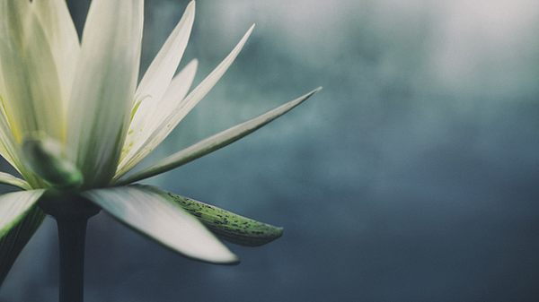 Meditation für Anfänger leicht erklärt.  - Foto: LordRunar / iStock 