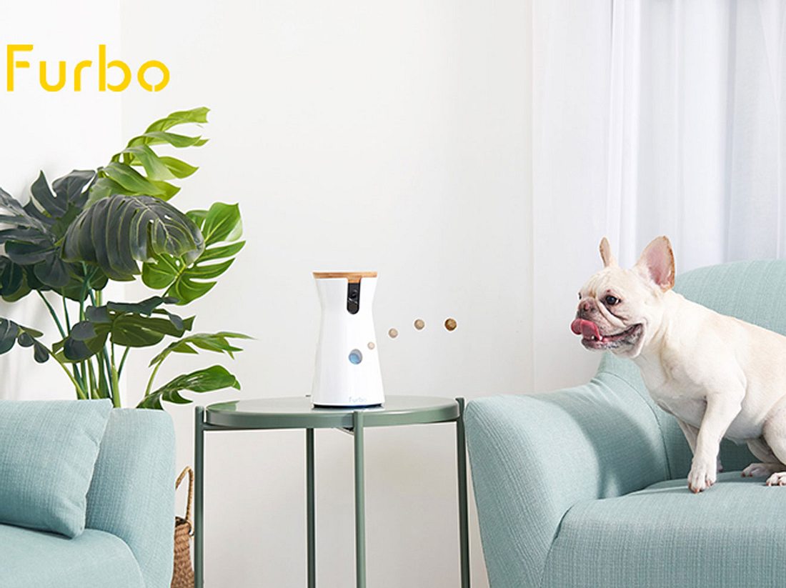 Gewinne eine Furbo Hundekamera Gewinne eine Furbo Hundekamera