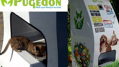 Saubere Straßen und Futter für Streuner mithilfe von Flaschenautomaten - Foto: Pugedon