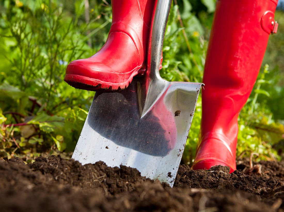 Garten auf den Frühling vorbereiten