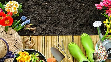 Unser Gartenkalender verrät, wie Sie Ihre grüne Oase richtig pflegen. - Foto: AlexRaths/iStock