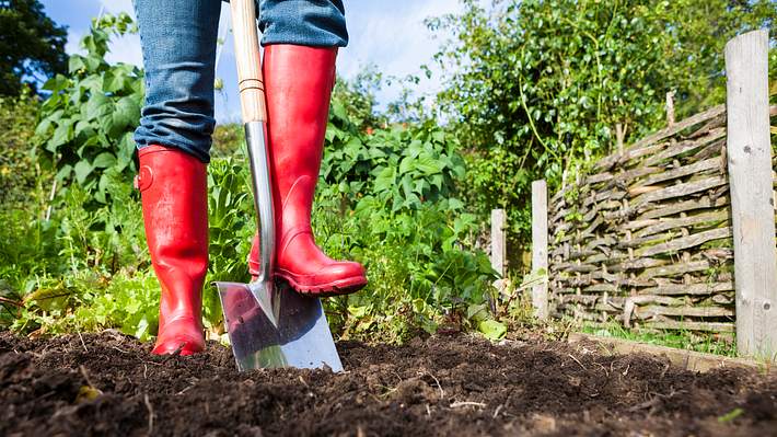 Garten umgraben - Foto: cjp/iStock