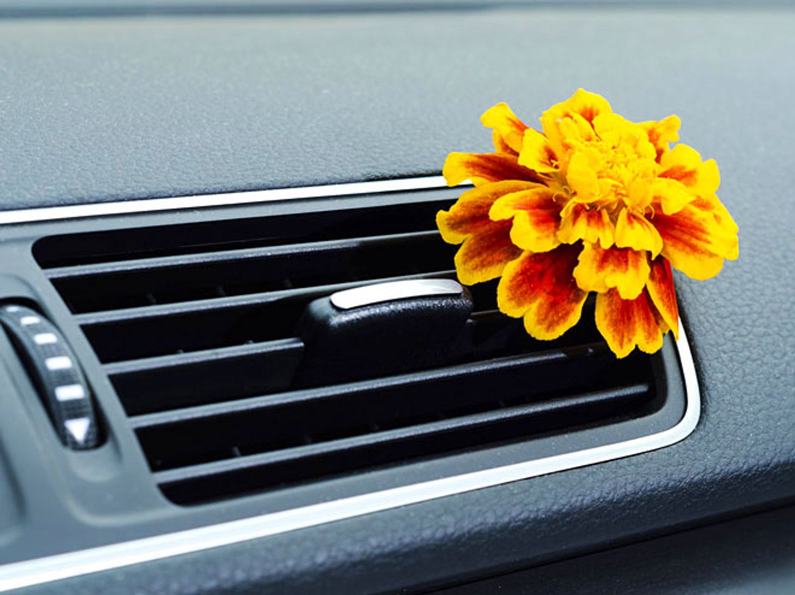 Diese Geruchsneutralisierer sorgen wieder für Frische im Auto