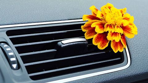 Welche Geruchsneutralisierer eignen sich für den Einsatz im Auto? - Foto: gzaleckas / iStock