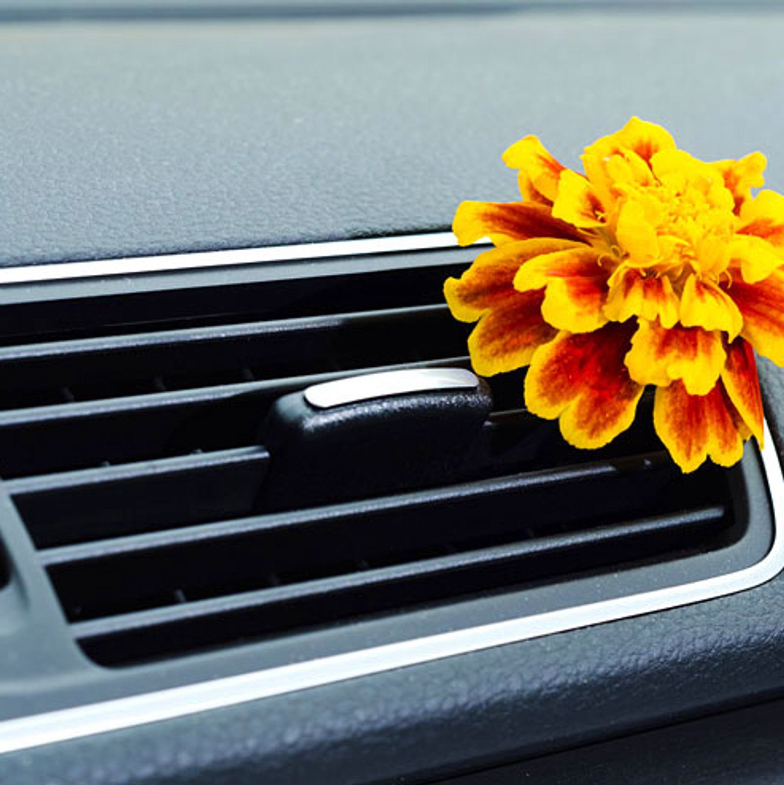 Diese Geruchsneutralisierer sorgen wieder für Frische im Auto