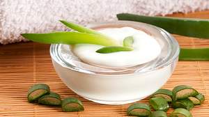 Mit Aloe Vera Creme nie mehr trockene Haut - Foto: iStock