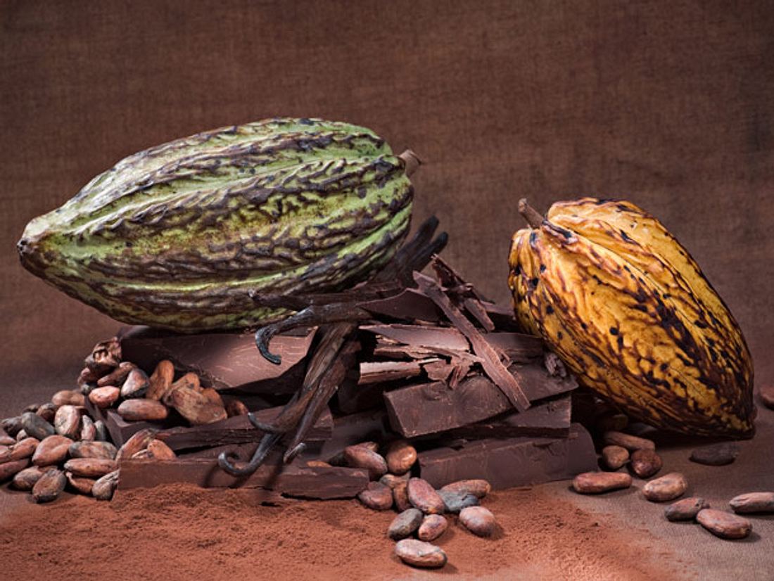 In Kakaobohnen sind wertvolle Pflanzenstoffe enthalten, deren Anteil bei
Zartbitterschokolade besonders hoch ist. In Kakaobohnen sind wertvolle Pflanzenstoffe wie etwa Flavonoide enthalten, deren Anteil bei Zartbitterschokolade besonders hoch ist.