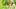 Gehirntraining: Konzentration verbessern mit Hilfe der Pusteblume - Foto: RuslanGuzov / iStock