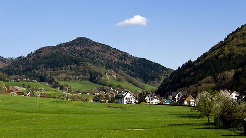 Eine Reise ins Glottertal sorgt für Heimatfilm-Stimmung - Foto: monica-photo/iStock