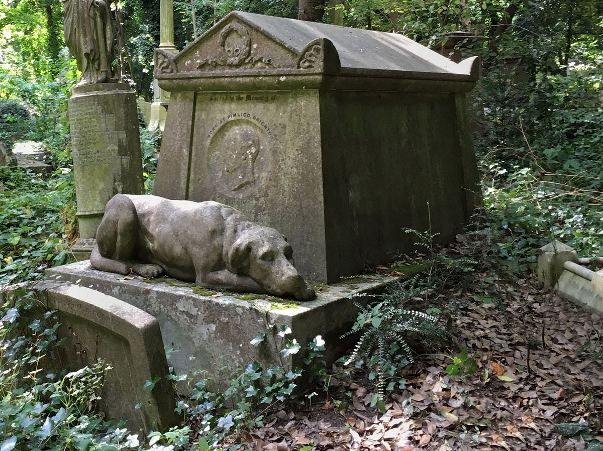 Ein Hamburger Friedhof plant gemeinsame Gräber für Menschen und Tiere. 