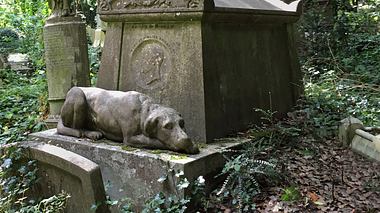 Ein Hamburger Friedhof plant gemeinsame Gräber für Menschen und Tiere.  - Foto: oversnap / iStock 