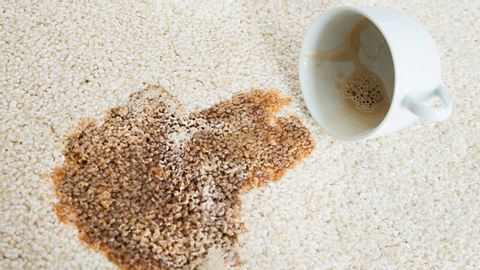 Kaffeeflecken entfernen mit Hausmitteln aus der Küche. - Foto: AndreyPopov / iStock