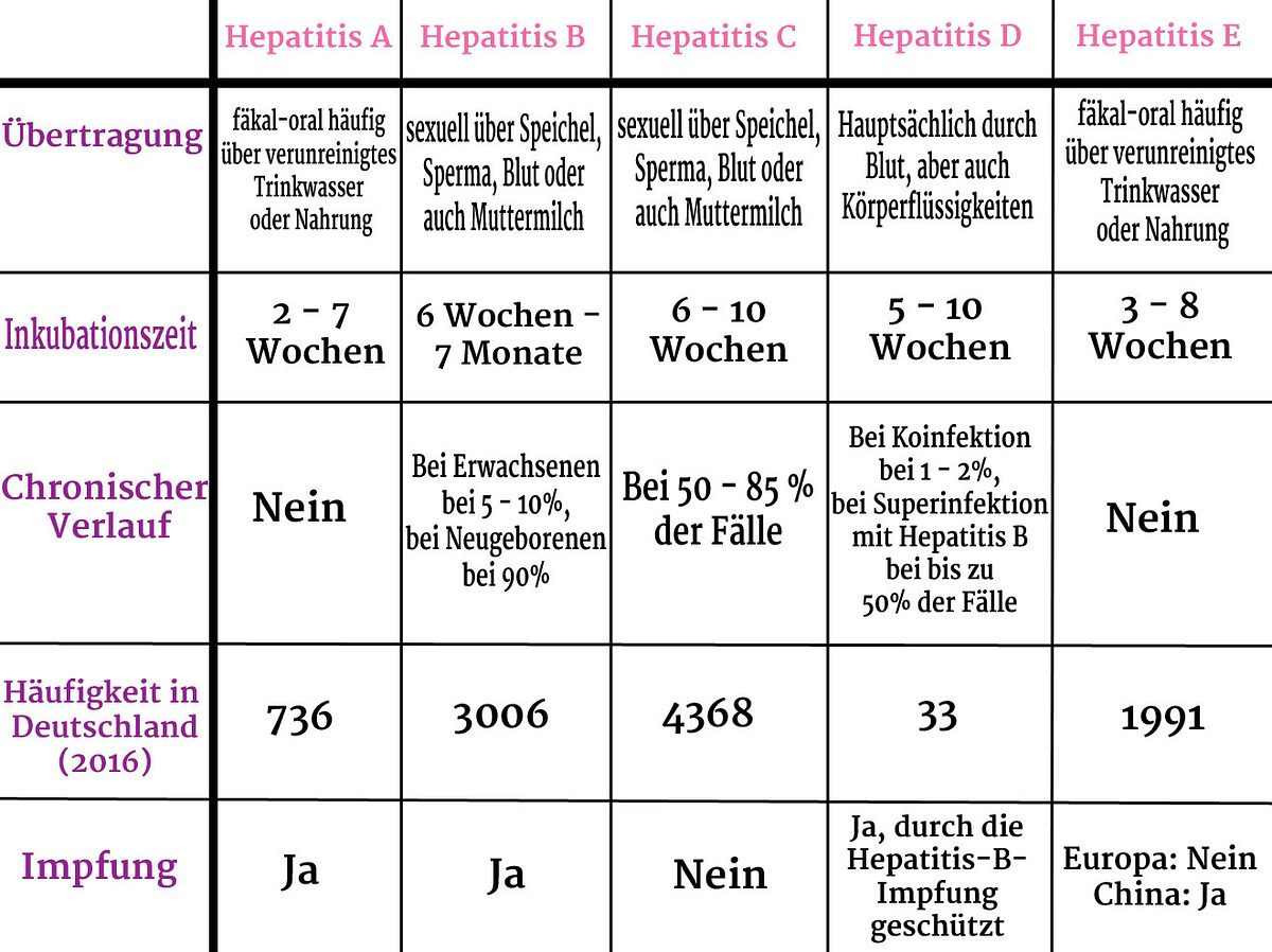 Leberentzündung: Symptome, Formen und Ursachen von Hepatitis ...